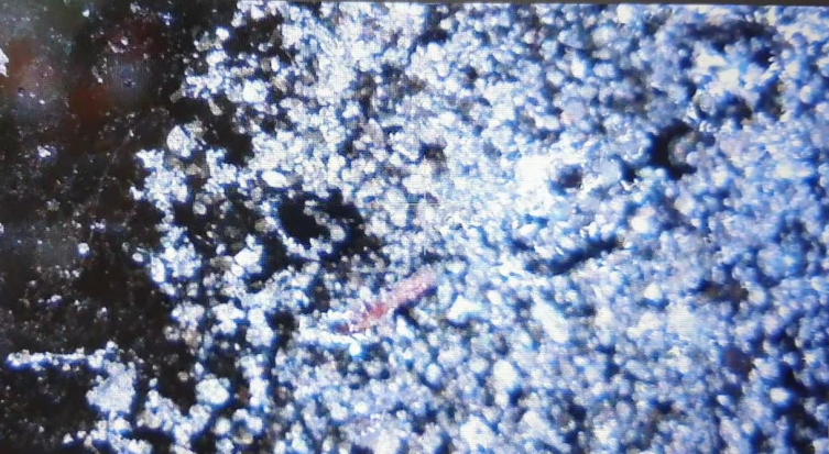 Kanseri 'MAT' edecek buluş